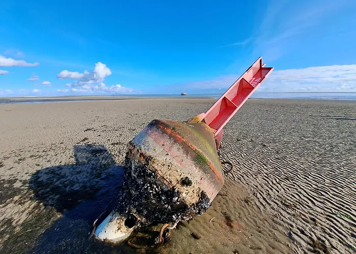 Luettenheid شقة Böhl